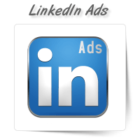 LinkedIn Ad Management